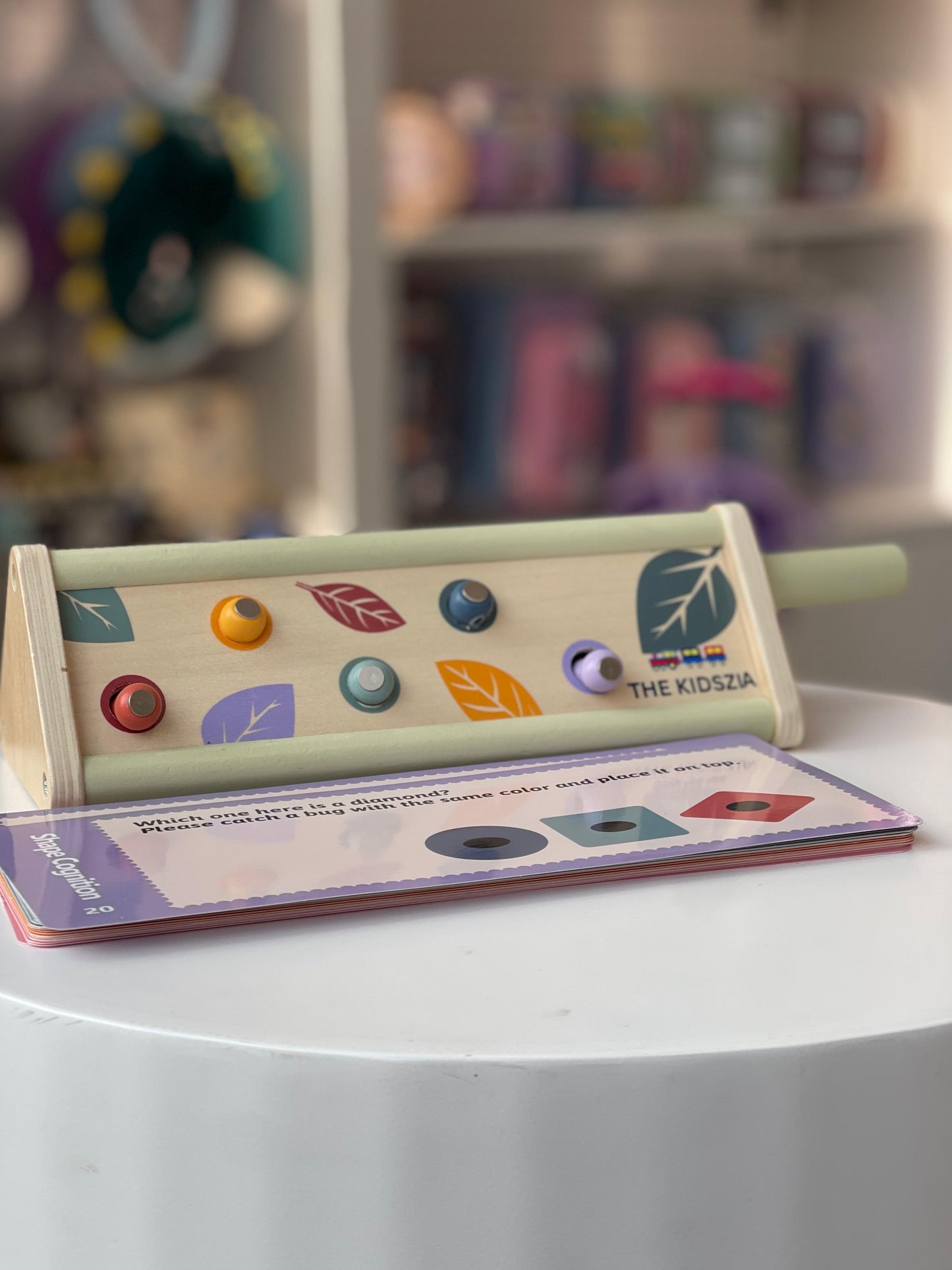 Wooden Magnetic Worms Game
