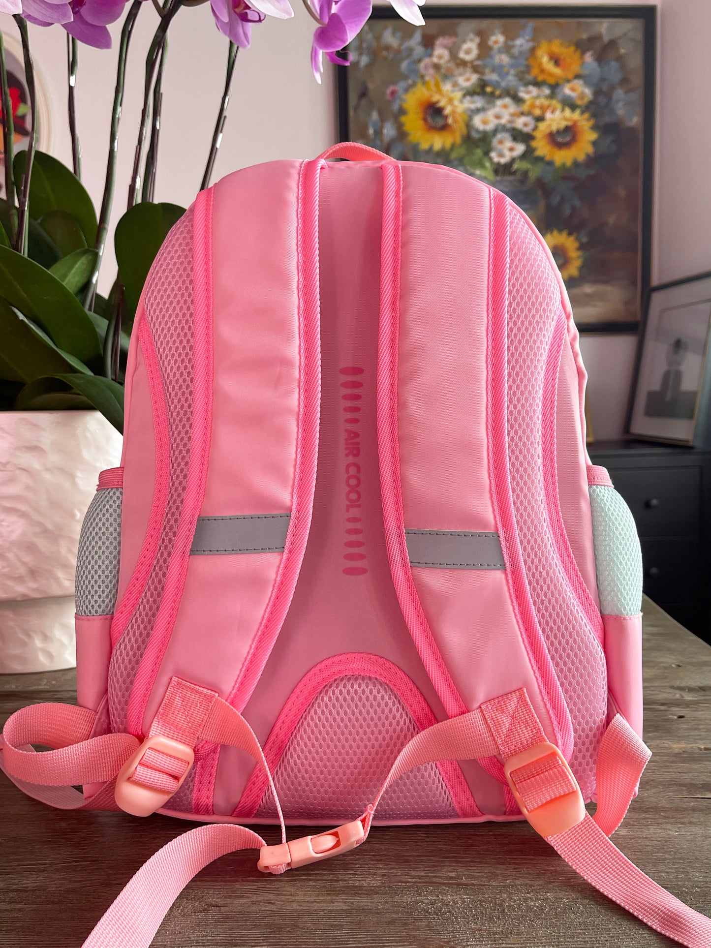 16 Inches Pink Backpack