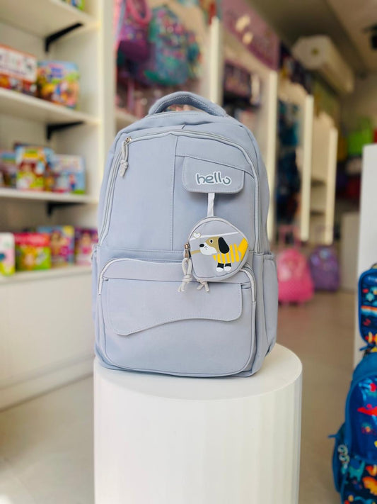 Hello Grey 19 inches Bag